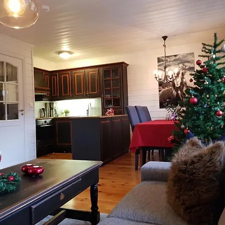 Voss Cabin Skulestadmo